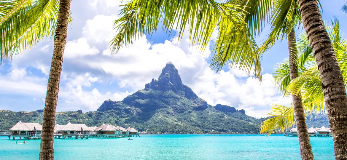 Onboard Ultra Luxury Cruises indulge in opulence and experience gourmet dining. Travel Heaven.
